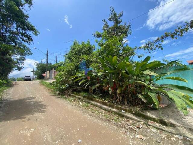 #5291 - Terreno para Venda em Ubatuba - SP - 2