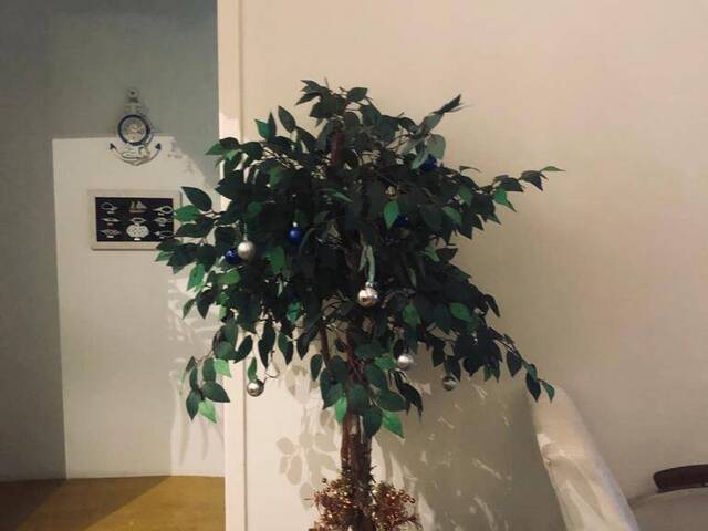 Sobrado para Venda em Ubatuba - 3