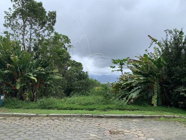 #5012 - Terreno para Venda em Ubatuba - SP - 2