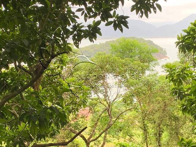 #5004 - Terreno para Venda em Ubatuba - SP - 1