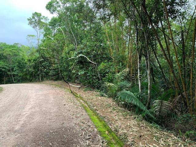 Terreno para Venda em Ubatuba - 4