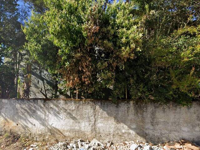 Venda em Estufa II - Ubatuba